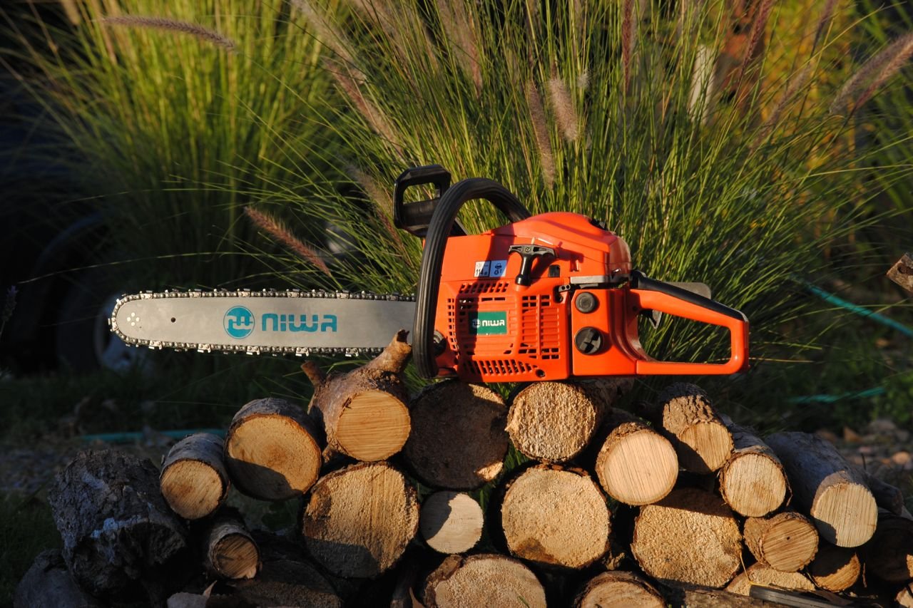 Top Logging Services in Mansfield, Ohio