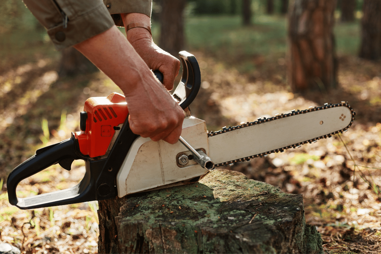 Top Logging Services in Zanesville, Ohio