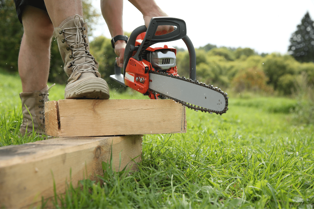 Top Logging Services in Wooster, Ohio