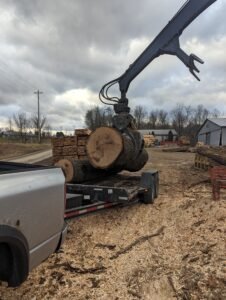 Residential Tree Services in Ohio
