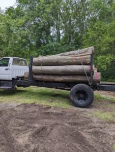 Timber Buyers in Michigan