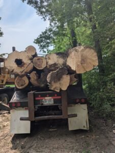 Timber Consulting in Indiana