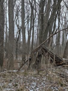 Timber Consulting in Michigan